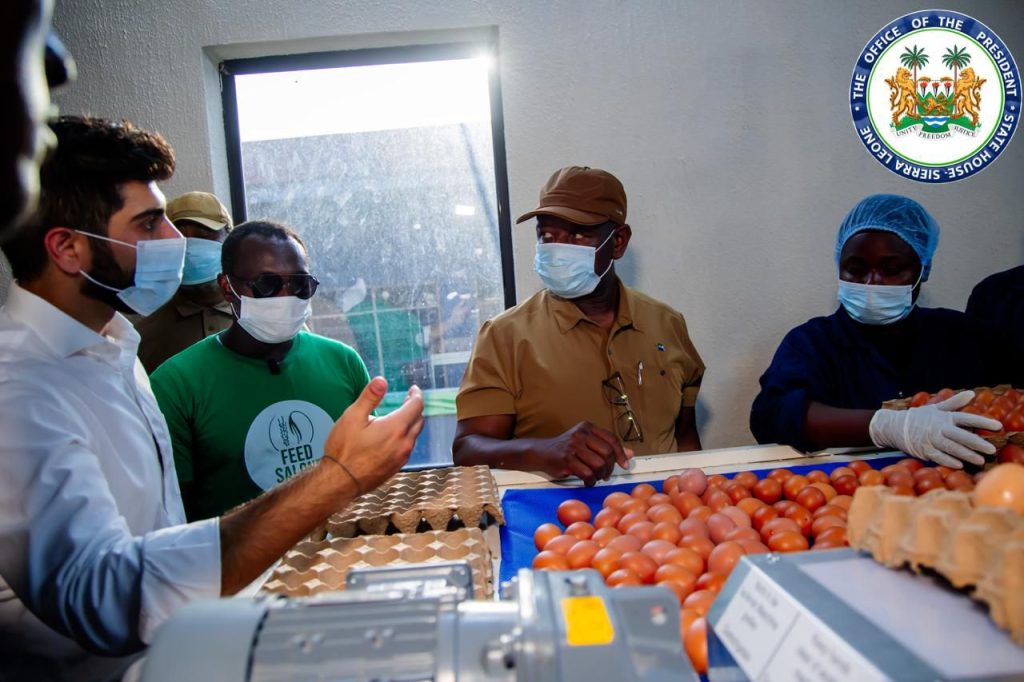 Sierra Leone’s President Bio Showcases Practical Leadership In Agriculture, Visits Newton Poultry And Commences 22-Metric Ton Fish Harvest