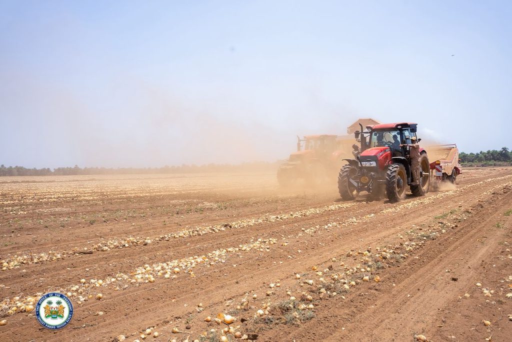 President Julius Maada Bio Visits One Of Sierra Leone’s Largest Onion Farms, Boosts Feed Salone Drive