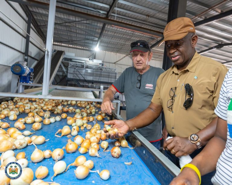 President Julius Maada Bio Visits One Of Sierra Leone’s Largest Onion Farms, Boosts Feed Salone Drive